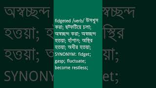 fidgeted Meaning in Bengali  fidgeted শব্দের অর্থ কী  Ovinary [upl. by Annalla]