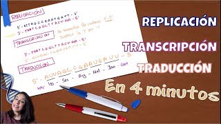 Aprendiendo a replicar transcribir y traducir en 4 minutos BioESOsfera [upl. by Aillimac]