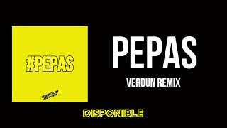 PEPAS Remix Farruko │Verdun Remix [upl. by Keever]