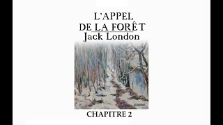 Lappel de la forêt  Chapitre 2 [upl. by Ynabla]