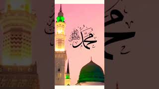 Wo Mera Nabi HaiNew Naat 2024viraltrendingviralnaatmadinamuhammadpopularstatusمدینہمحمد [upl. by Ailet]