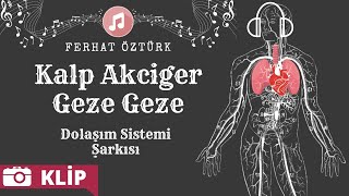 Dolaşım Sistemi Şarkısı  Kalp Akciğer Geze Geze [upl. by Gerstner]