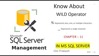 Wild Operator Like operator in sql Server [upl. by Nivlak]