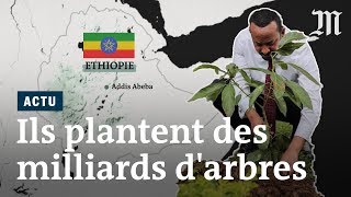 LEthiopie plante quatre milliards d’arbres en six mois [upl. by Ardin]