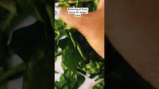 Curry 🍃retainment for longer timemusic curryleaves preservation kitchentips video plants [upl. by Allehs]