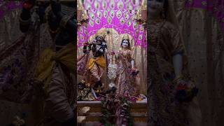 Mangala Arati Darshan 🙏 from vrindavan radhakrishna radheradhe [upl. by Daenis748]