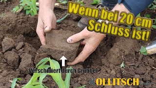 Was kann ein Tiefenlockerer und welchen Unterschied macht EM  Feldvergleich Teil 2 [upl. by Gnah744]