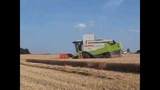 moisson de blé 2013  moissonneuse batteuse claas lexion 540 [upl. by Acirea140]