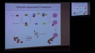 Scientist Stories Craig Crews  CoFounder of Arvinas a pioneer in targeted protein degradation [upl. by Scarlet]