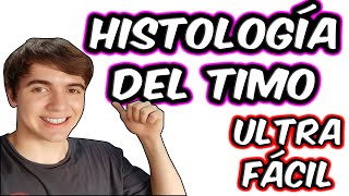 HISTOLOGÍA DEL TIMO ¡La Guía Definitiva para Entenderlo [upl. by Llenaej]