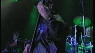 Falco Ganz Wien live in Wiesen 1996 mit Drahdiwaberl [upl. by Rabka]