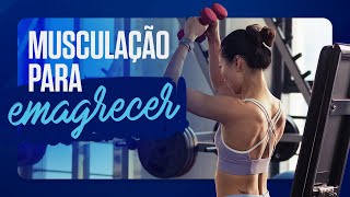 MELHOR SÉRIE DE MUSCULAÇÃO PARA EMAGRECER INICIANTE  Treino de emagrecimento na academia [upl. by Derayne81]