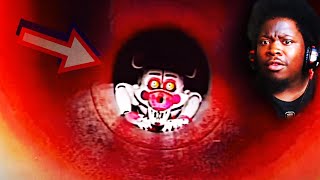 THIS VHS TAPE WAS DISTURBING   FNAFVHS Tunnel Vision SHMN039 [upl. by Imaon114]