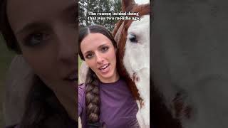 Peach’s roached mane controversy pt 1 horse horsegirl equestrian horses farm farmlife [upl. by Yelsa]