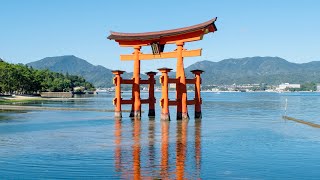 Floating Shrine Mysterious World Heritage in Japan  Itsukushima Shrine [upl. by Ahsima]