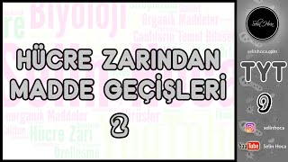 14 Hücre Zarından Madde Geçişleri 2 [upl. by Aneis]