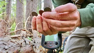 One coin leads to another metal detecting this spot [upl. by Maudie]