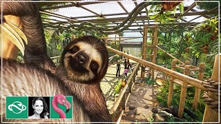 Building a Brownthroated Sloth Exhibit in Planet Zoo Franchise Mode [upl. by Tema]