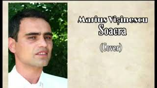 Marius Visinescu  Soacra cover [upl. by Nonarb]