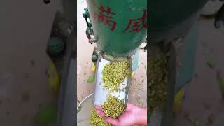 Electric poultry chicken feeds grass pellet making machine diesel cattle pelletizer machine [upl. by Anaidiriv]