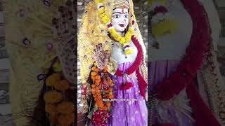 Maa pathari wali mukeshsharmakalimatakebhajan mukeshsharmabhajan shortvideo [upl. by Sikram]