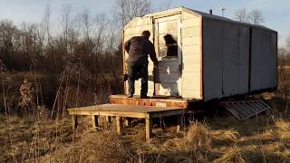 OffGrid Bushcraft Cabin Getaway [upl. by Draper130]