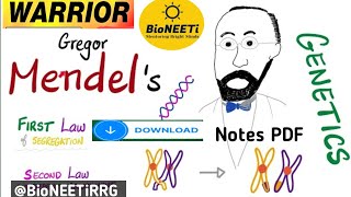 Mendels Laws Of Inheritance Heredity CBSE Class 10 NCERT Biology [upl. by Sampson]