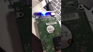 WD 500GB Hard Drive Failure Beeping Noise HELP [upl. by Noiroc336]