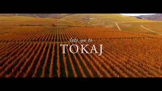 TOKAJ Autumn Winery Landscape 2017 Hungary [upl. by Amena]