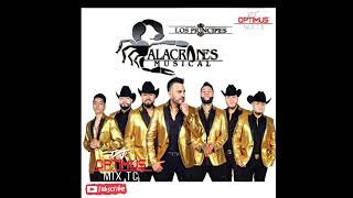 ALACRANES MUSICAL MIX 2023  RANCHERAPOLKAS Y ZAPATEADOS🎧🎥🇲🇽 djoptimuseloriginal [upl. by Enelym647]