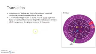 Proteinsyntese genetisk kode [upl. by Nahtnhoj]