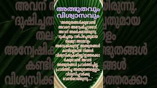 സ്വന്തക്കാരിൽ പോലും ഇങ്ങനെയൊരു വിശ്വാസം കണ്ടിട്ടില്ലmalayalam bible christianbible [upl. by Omer]