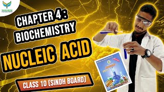 X Chemistry Chapter 4Nucleic Acid shaheencoachingcenter sindhboard karachiboard chemistry [upl. by Lail]