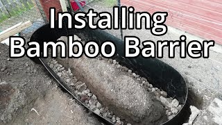 Building And Planting Up Two Bamboo Beds With Rhizome Barrier [upl. by Eednac]