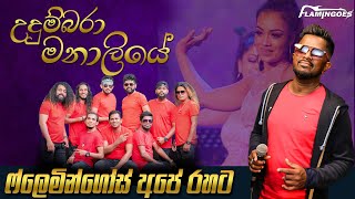 Udumbara Manaliye උදුම්බරා මනාලියේ  Live Performance With Ahungalla Flamingoes [upl. by Hardunn]