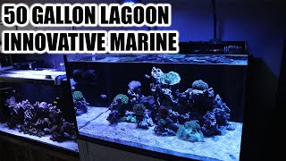 INNOVATIVE MARINE 50 GALLON LAGOON REVIEW AND OVERVIEW 2020 [upl. by Leftwich972]