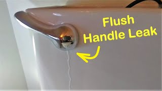 Toilet Handle Shouldn’t Leak [upl. by Solotsopa]