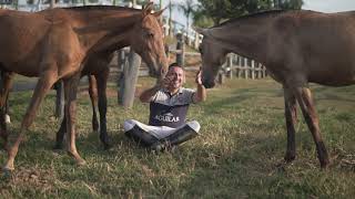 Vagner Aguilar com Cavalos puro sangue Lusitanos  Coudelaria aguilar [upl. by Esta]