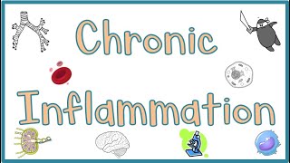 Chronic Inflammation  Causes Morphologic features Mediators Examples amp Clinical manifestations [upl. by Eckhardt]