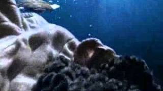 Реклама Ariston Aqualtis  Подводный мир Underwater World TV Commercial [upl. by Fortune413]