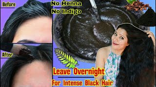 Stop Using HennaIndigo amp DyeJust Leave This Overnight To Get Intense Black Hair।Garima Singh। [upl. by Nyletak]