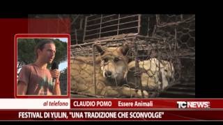 Festival di Yulin quotuna tradizione che sconvolgequot [upl. by Kennet493]