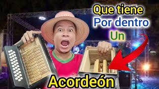 COMO FUNCIONA UN ACORDEON  tutorial paso a paso [upl. by Ledarf714]