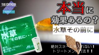 【水草その前に】水草購入時のスネール除去！本当に効果があるか検証してみた！12【アクアリウム】 [upl. by Gustavus798]