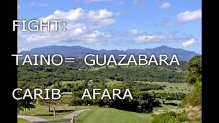 The History amp Languages of the Indigenous Island Natives Lesser amp Greater Antilles [upl. by Onafets]