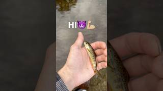 Say hi buddy😈🤬💀 trout funny fishing ytshorts troutfishing [upl. by Nairadal343]