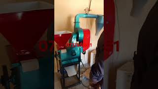 Grade two posho mill with electric single phase motor drive [upl. by Konstantine97]