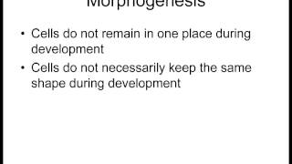 Lecture 1 Differentiation and Morphogenesis [upl. by Yelda102]