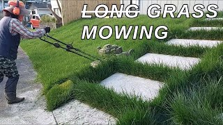 LONG GRASS MOWING  Satisfying transformation [upl. by Aja]