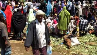 Khat Market Awaday Ethiopia [upl. by Ravo]